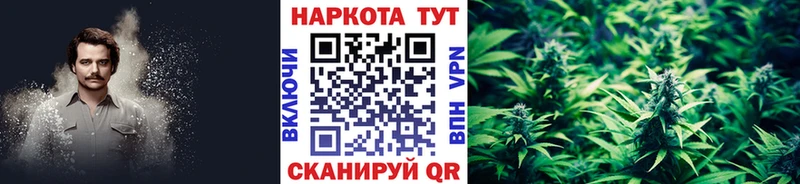 Сколько стоит Белая Холуница Alpha PVP МЕТАДОН Конопля Гашиш АМФЕТАМИН