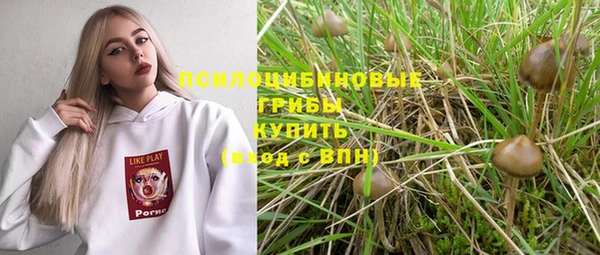 винт Арсеньев