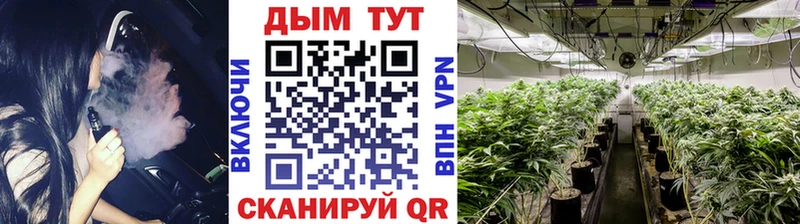 Бошки марихуана VHQ  ссылка на мегу зеркало  Белая Холуница 